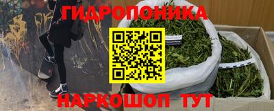 прущая мука Гусев