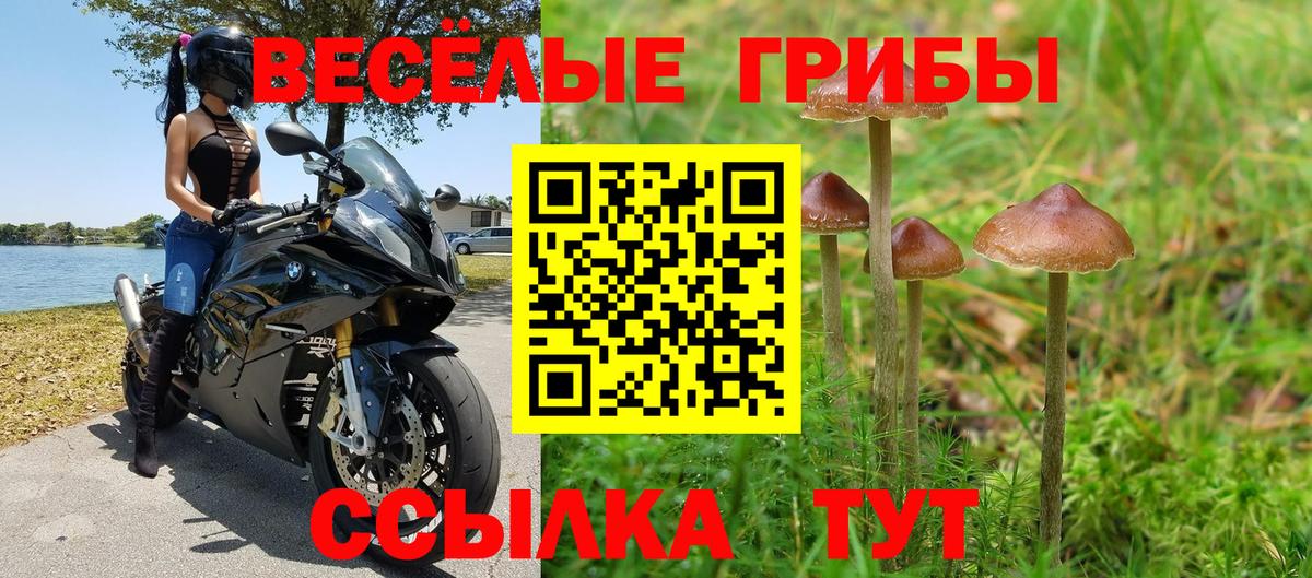 Галлюциногенные грибы прущие грибы  Галлюциногенные грибы мухоморы  купить наркотик  Вход с VPN  Нефтекамск 