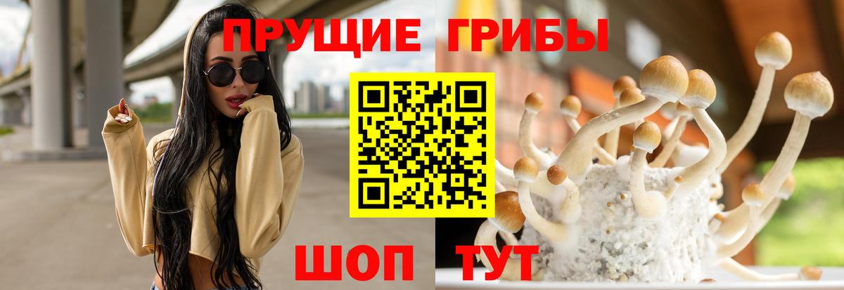 Псилоцибиновые грибы MAGIC MUSHROOMS Нефтекамск